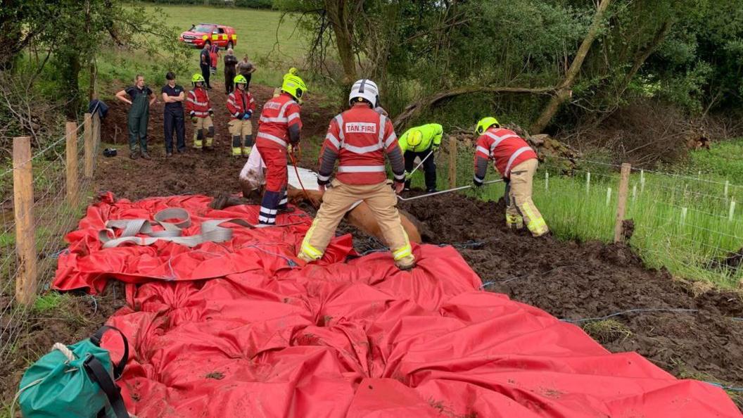 Fire crews freeing horse from mud