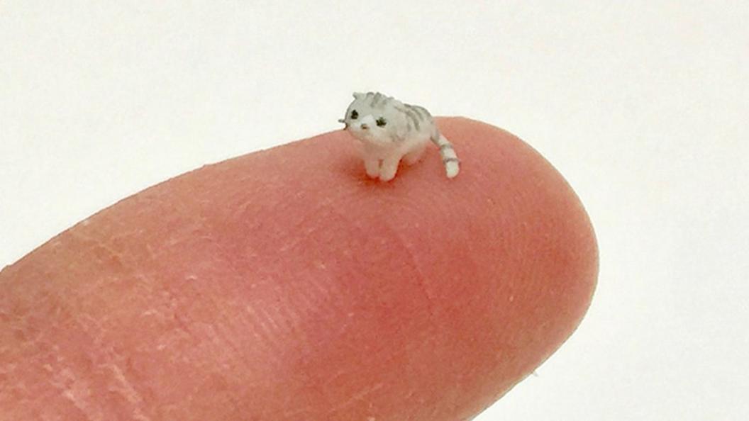 A tiny cat sitting on a finger