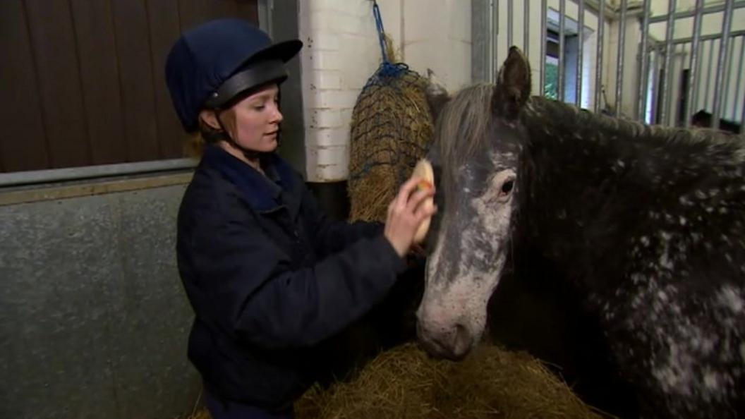 RSPCA inspector with horse