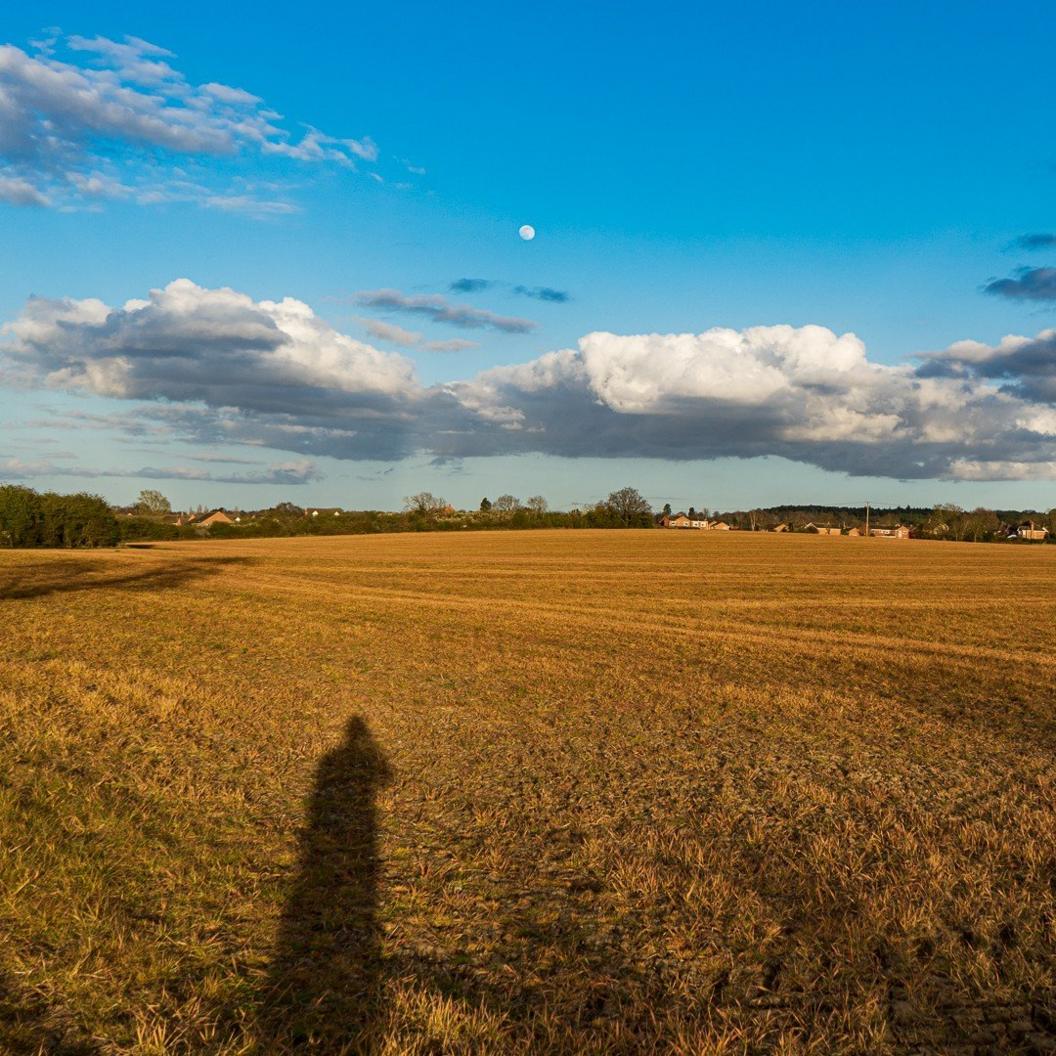 Shadow in a field