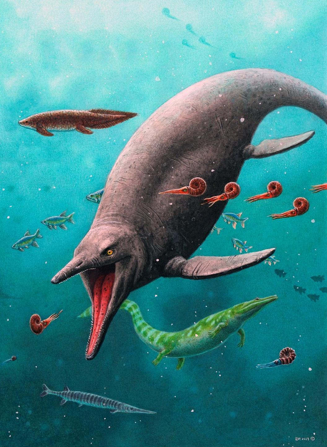 ichthyosaur -in-the-sea.