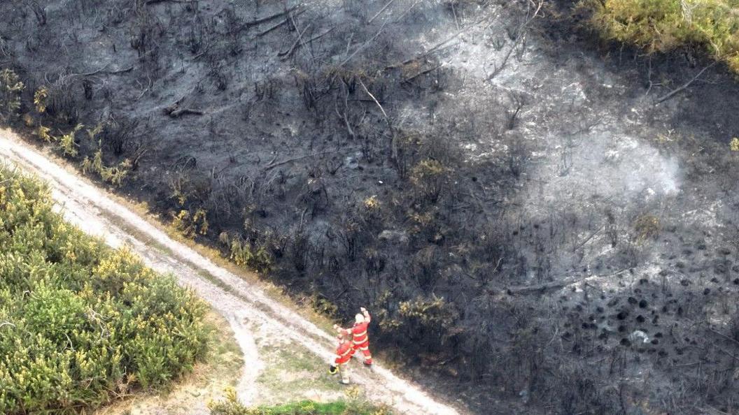 An aerial view showing two people wearing high viz orange outfits and walking along a path next to blackened plant and shrubs.