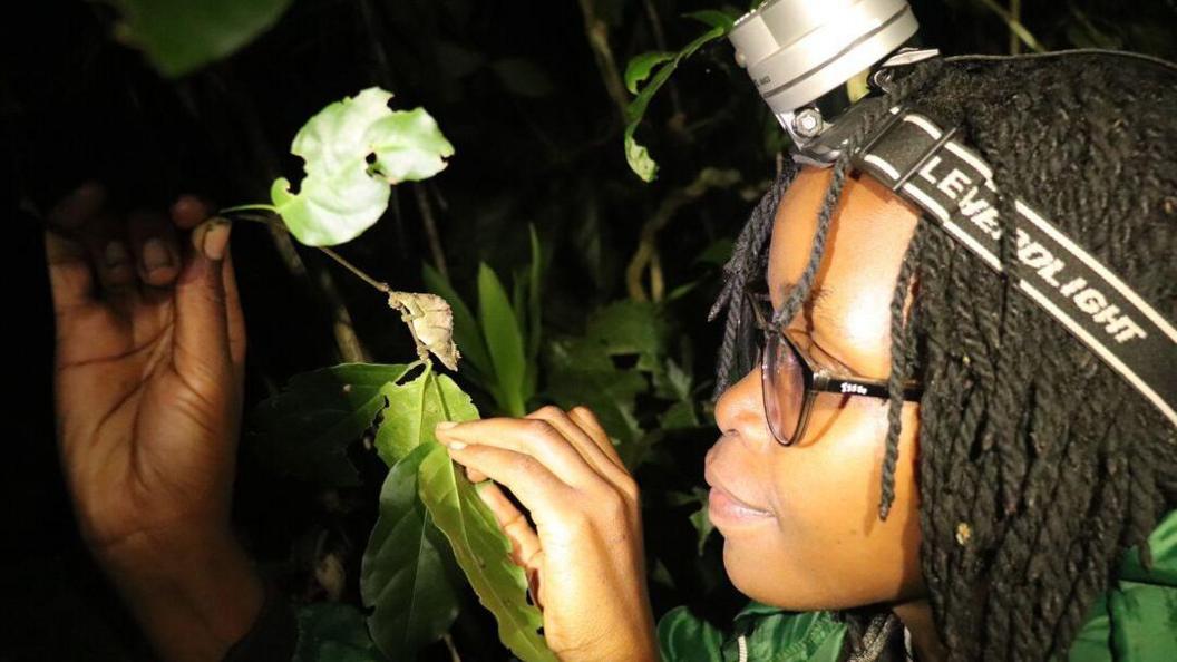 A woman looking at a leaf with a small reptile on it.