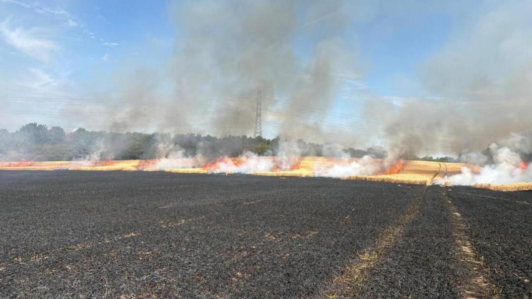 A large field on fire, showing a power pylon, and wires coming out of it, in the distance. There are flames to the back of the field, smoke and burned crops. The sky is blue, with smoke rising up into the air. 