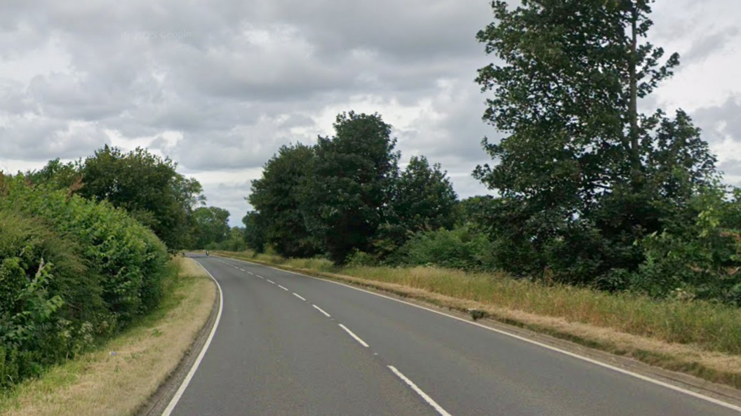 A stretch of rural road with grass verges and trees on either side