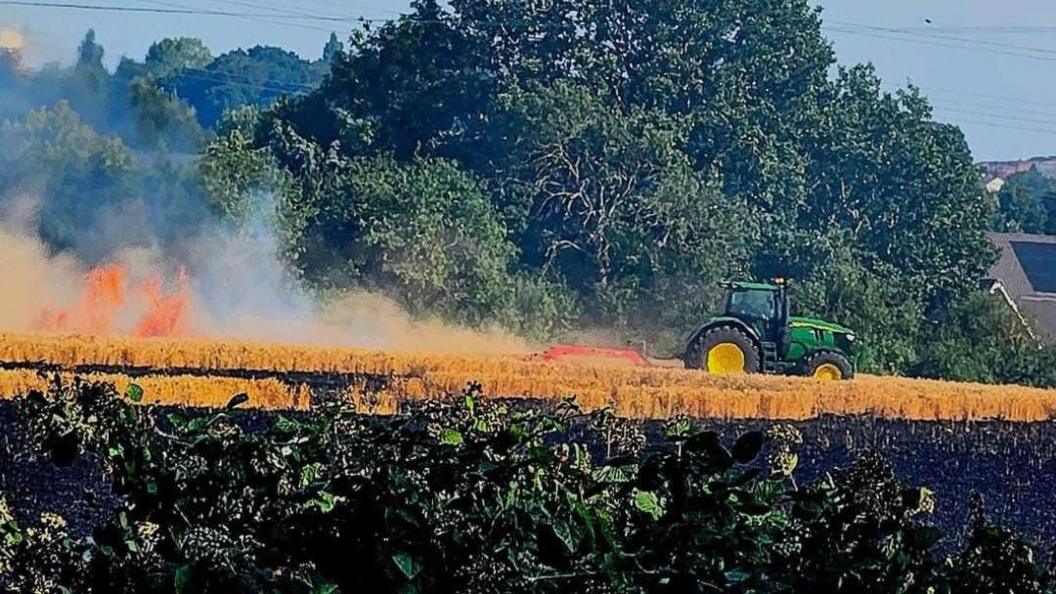A farmer driving a green tractor, creating a fire break in a field, that was alight. There are green trees behind the tractor and crops in front. Crops, that looks like wheat is on fire. 