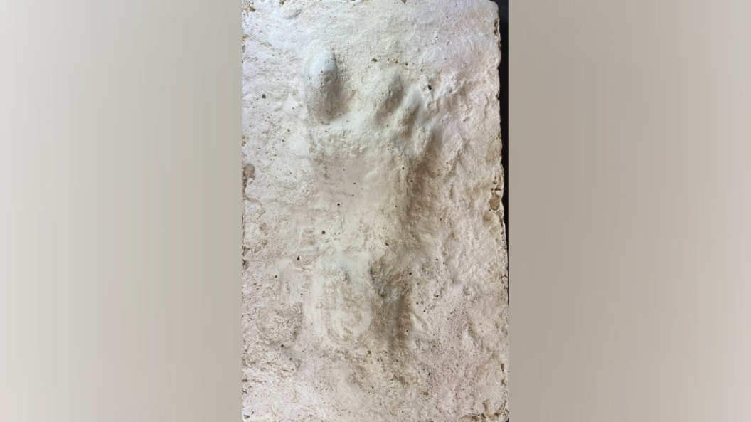 A large footprint set in white stone. The footprint has four large toes.