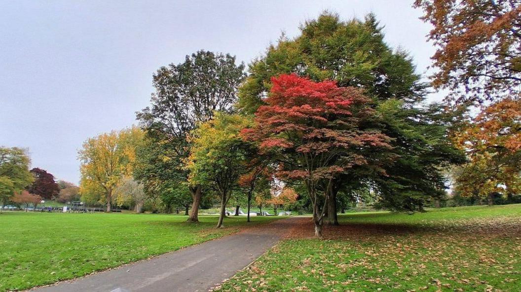 Several trees next to each other either side of a path in a park with green grass under them. The leaves on the trees range in colour from green to yellow to red and brown.