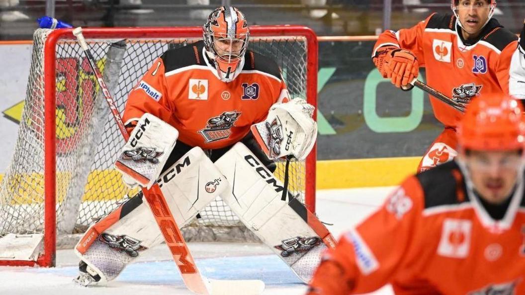 Sheffield Steelers netminder Matt Greenfield in action