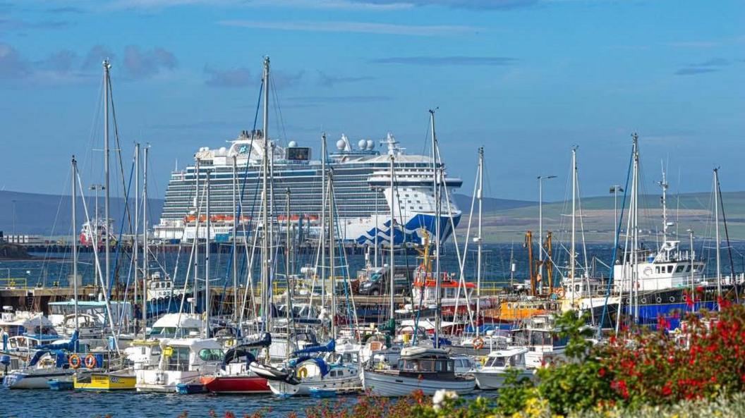 A large cruise ship on the water in the distance behind lots of smaller boats. It is a clear, blue day with green land seen in the distance