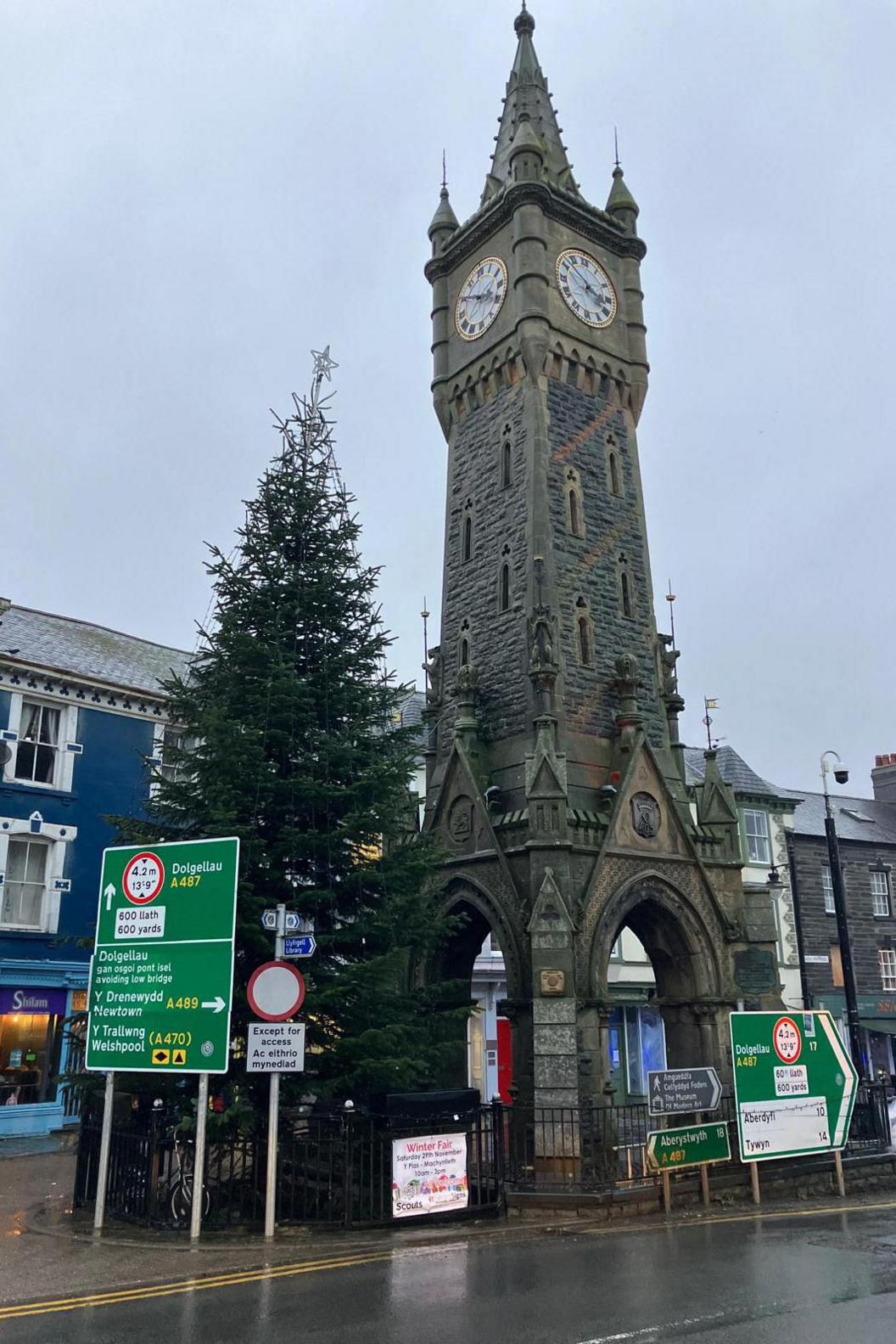 The mayor's tree in the middle of the high street. It sits beside a clock tower and in front of a green road directions sign. 