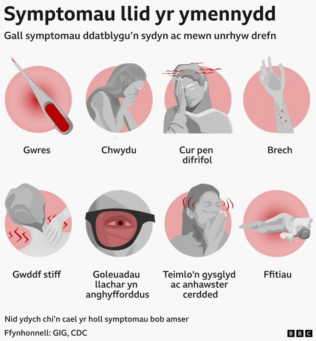 Graffeg rhai o symptomau llid yr ymennydd