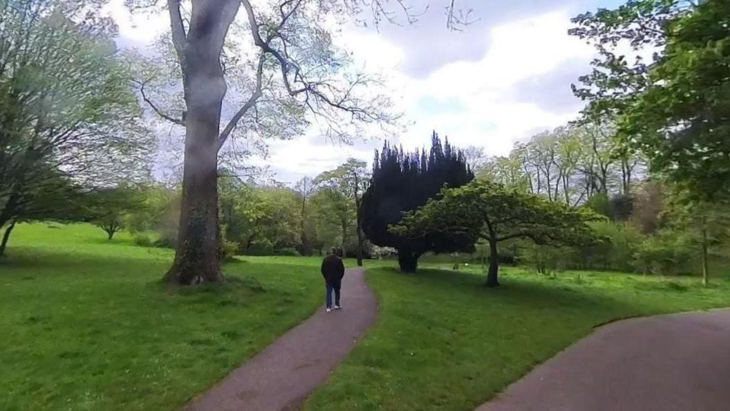 Man walks through park with tall trees around 