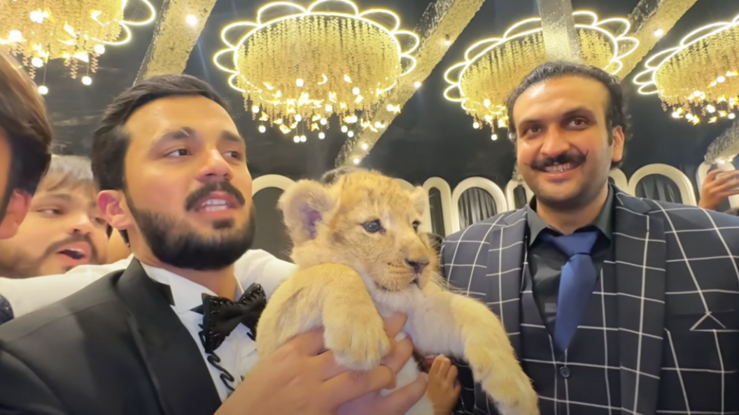 Rajab Butt, in a suit, holding a lion cub. Umar Dolla, in a suit, is stood next to him smiling