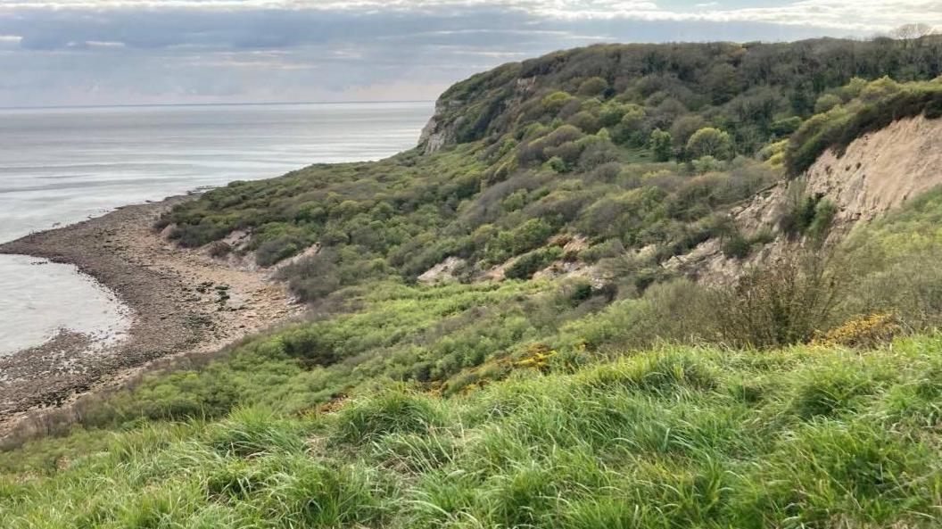 The cliffs at Fairlight Glen