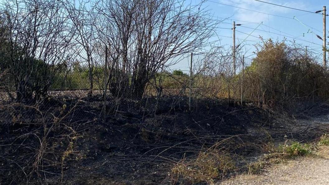 A fire-damaged grass verge next to a railway line