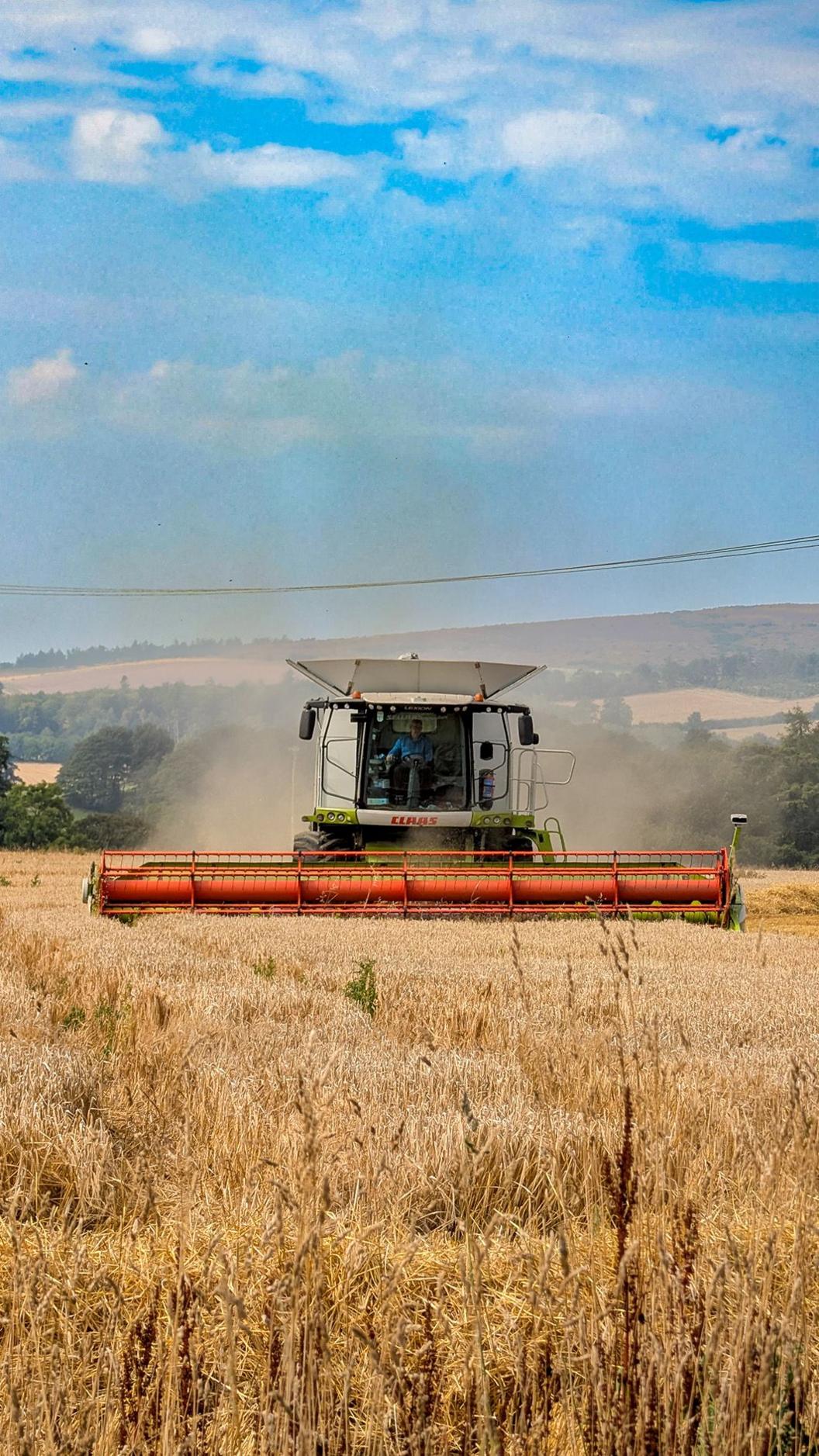 Portrait image of a harvester machine ploughing through a field on a bright sunny day with white fluffy clouds in the sky