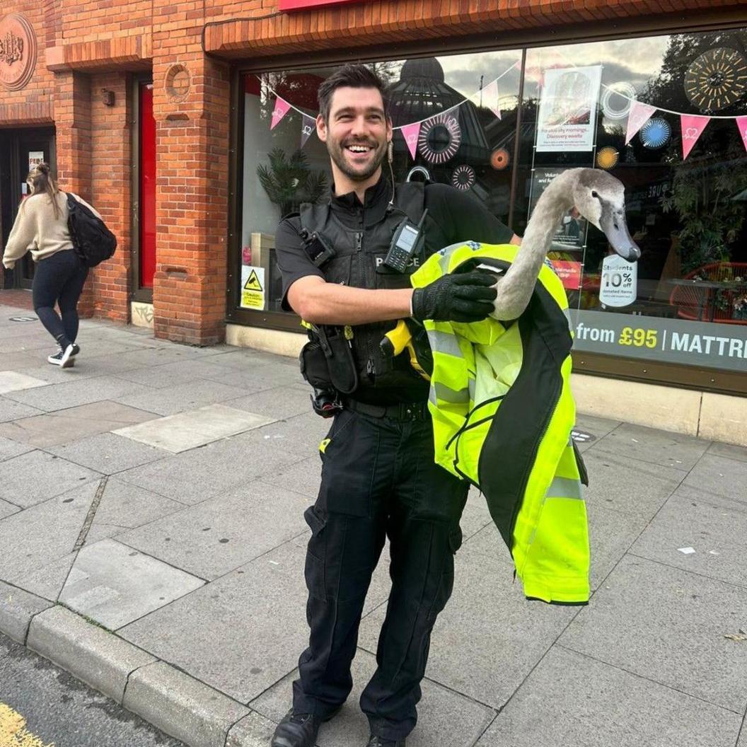 A police officer with a swan