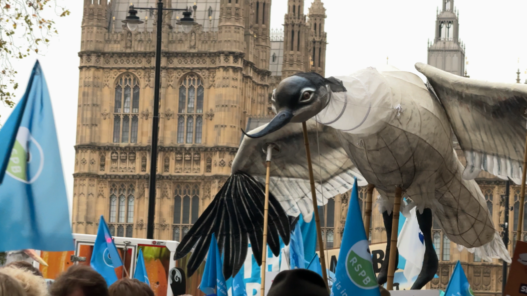 Banners and a bird prop are carried along by protesters