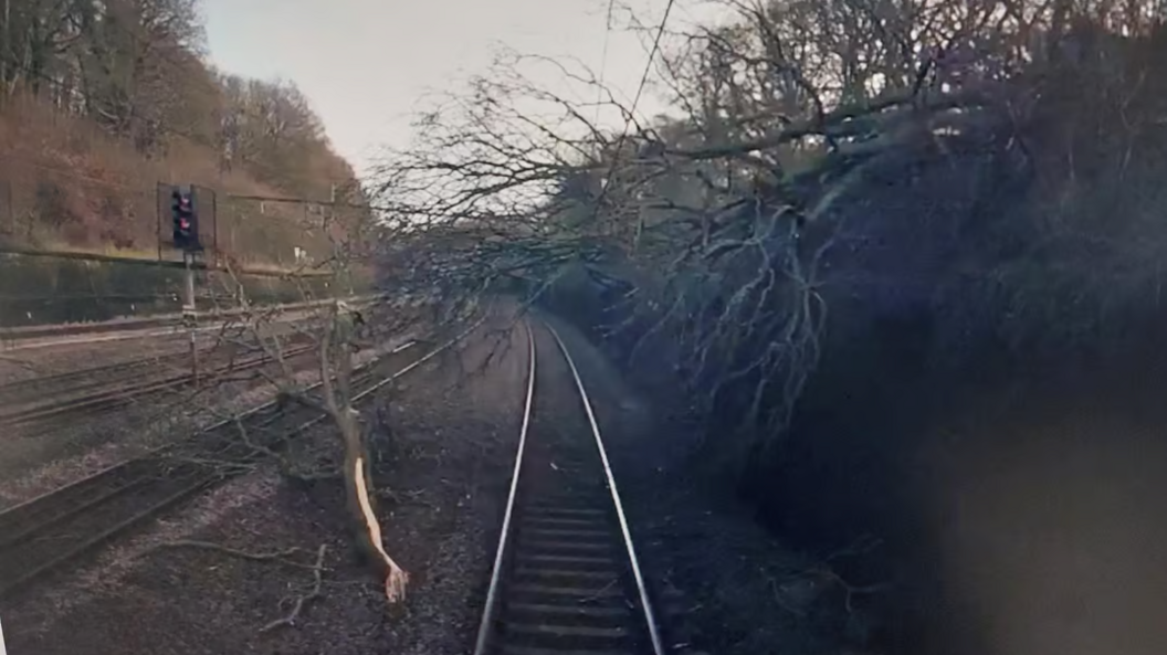 A tree has slid down a bank and broken. A large branch is next to the rail track and the tree itself is blocking the route.