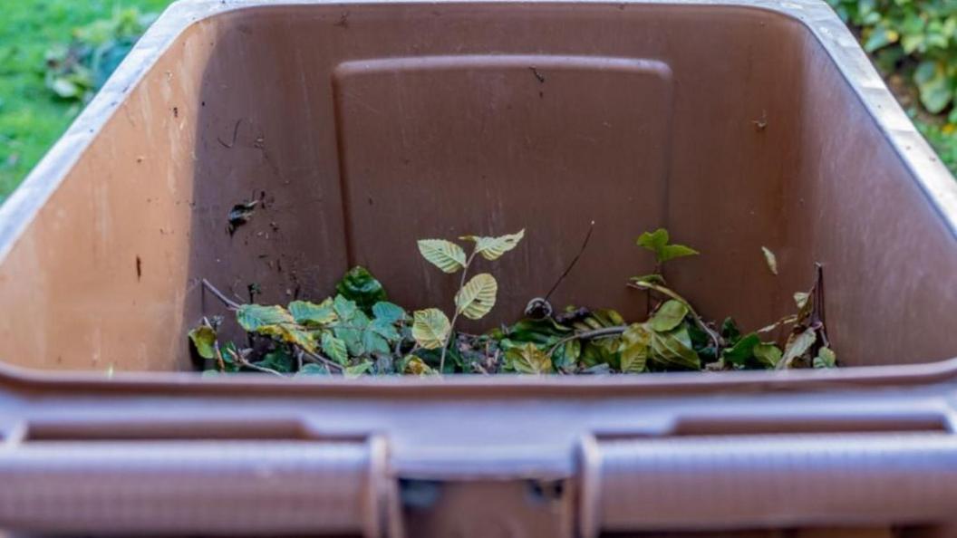 A brown bin with leaves and branches inside.