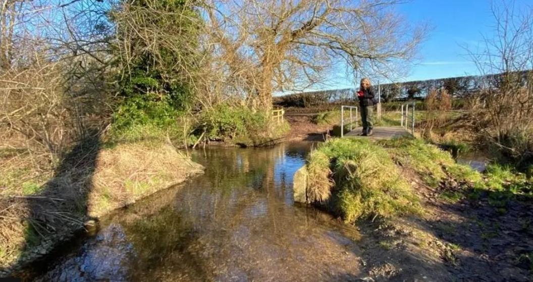 Woman standing on bank of small shallow river with grassy banks along its sides.