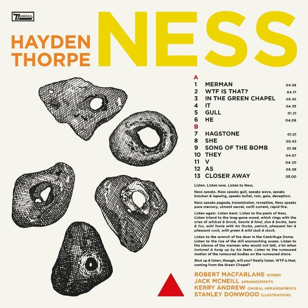 The album cover for Hayden Thorpe's new album Ness. 