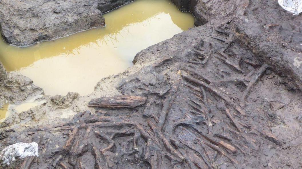 Brown pool of water, which sits next to a muddy bank, where a wooden structure is exposed.