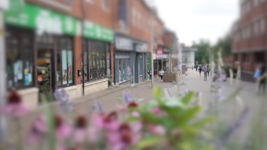 An artistic shot of the town centre viewed through a flowerbed showing shops and pedestrians