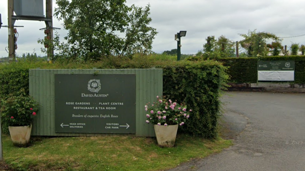 The entrance to a business with a green and grey sign to the left, stating David Austin, with directions to the head office and car park