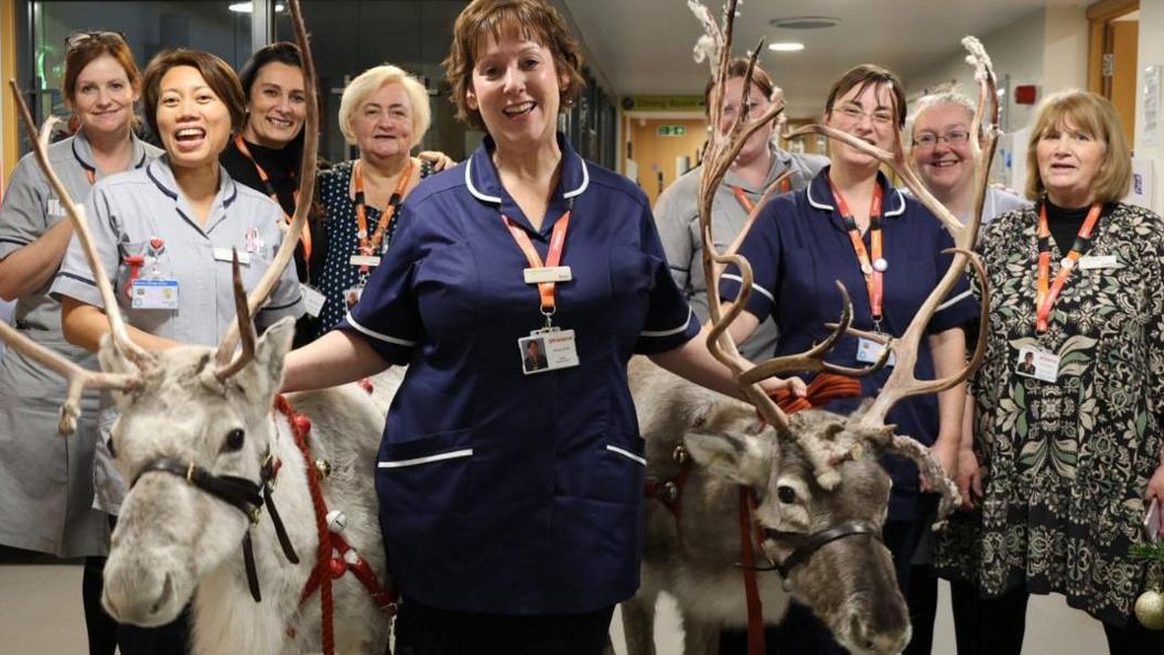 Hospice staff all smile while standing next to two reindeer. Some of them are wearing nurses uniforms and other have orange lanyards around their necks. The two reindeers have bells around their necks. 