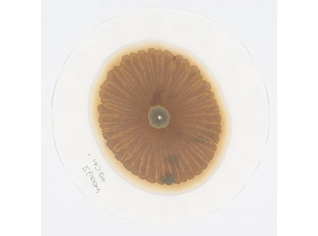 Soil chromatography