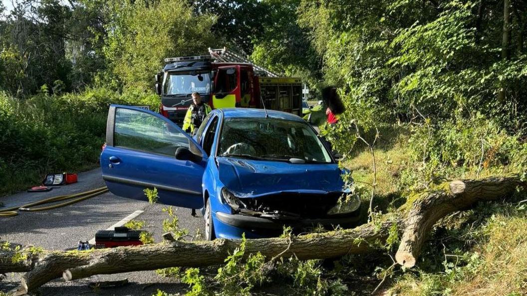 Blue car seen in front of the fallen tree with front crumpled up