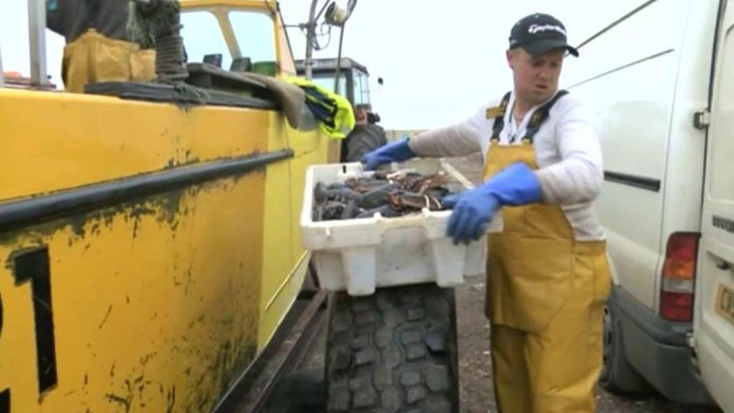 Shellfish being unloaded from boat