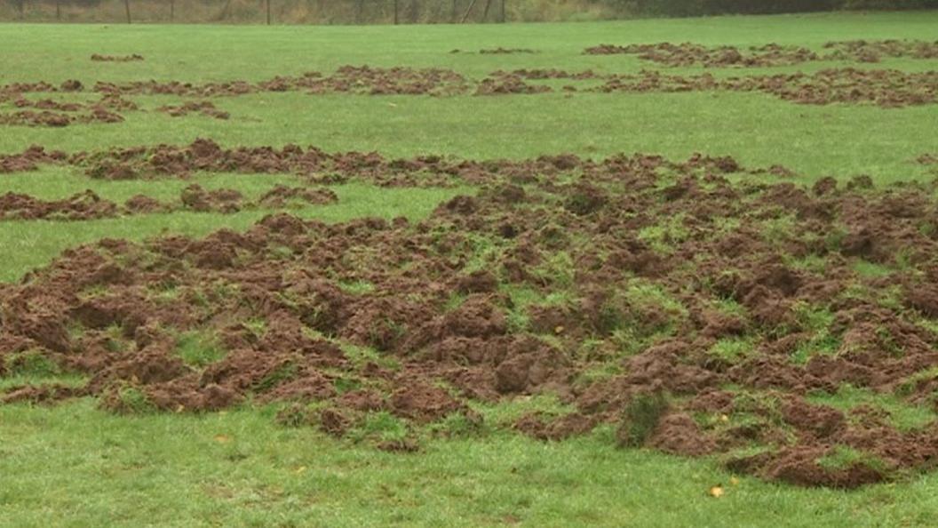 Soudley football pitch