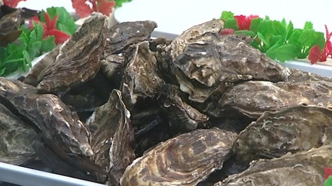 Oysters in a fishmongers