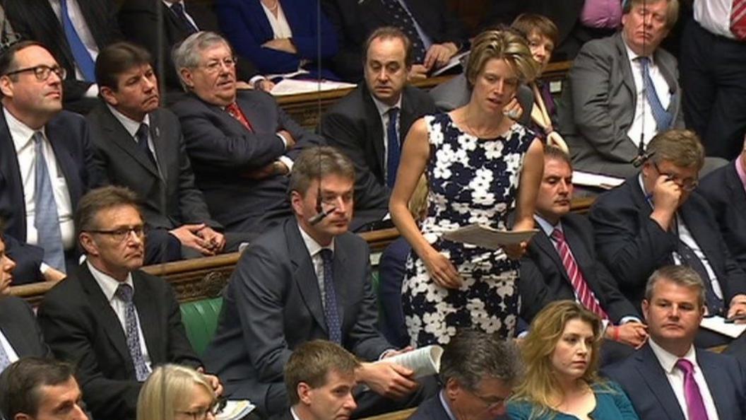 Charlotte Leslie MP speaking at Prime Minister's Questions in the House of Commons