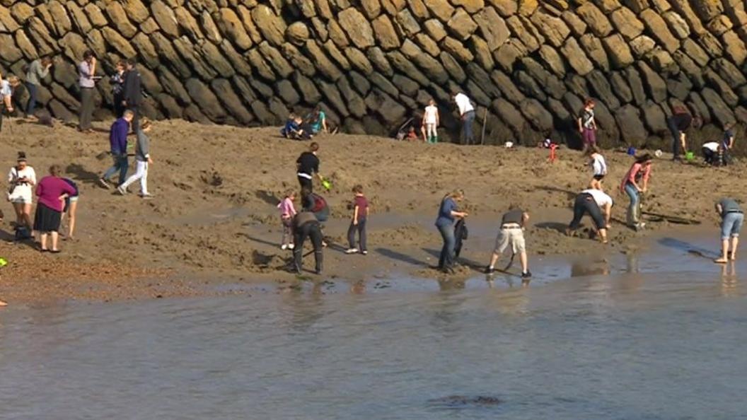 Digging for gold on Folkestone beach