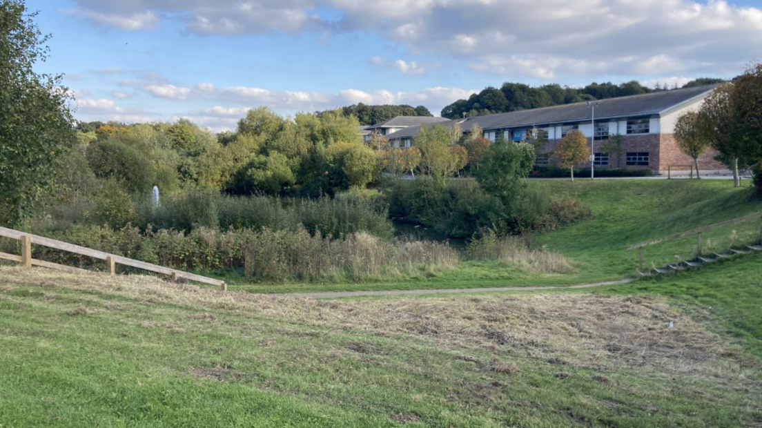 A grassy area with a business park in the background.