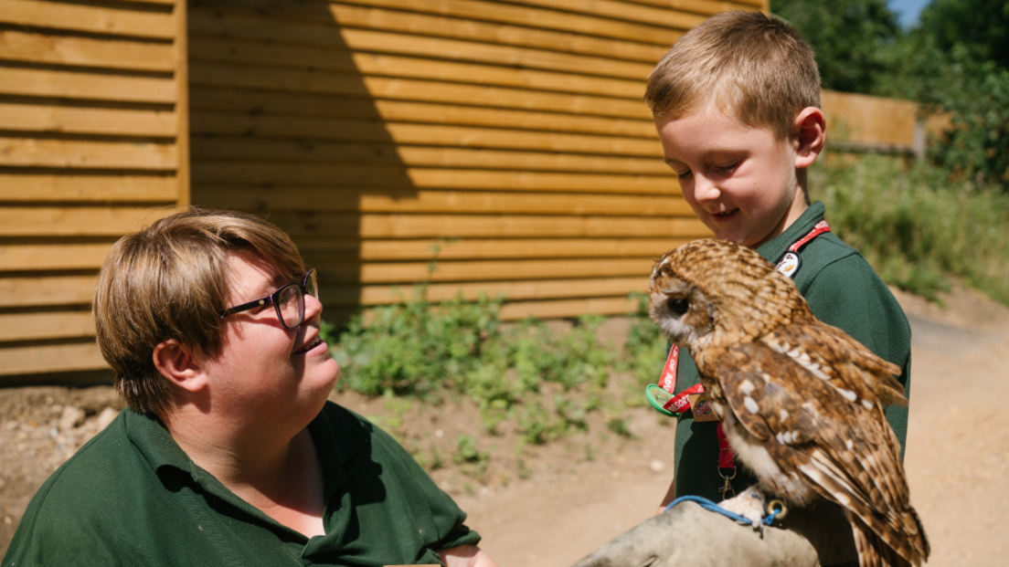 A young boy in a green polo shirt with a brown speckled owl perched on his arm. Crouched down in front of them is a woman with short brown hair and glasses, looking up at the boy. Behind them is a wooden hut.