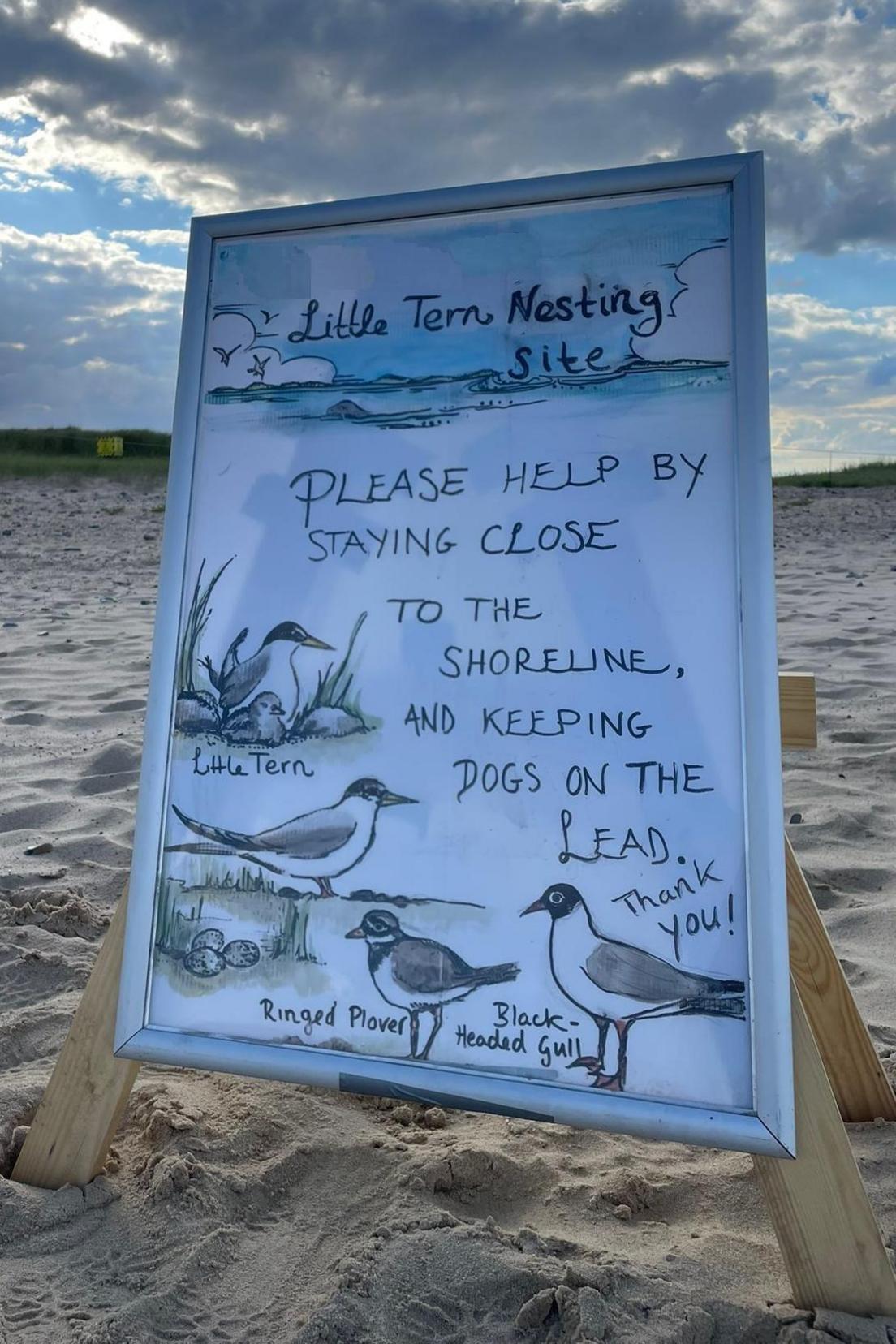 An illustrated sign stands on a beach asking owners to keep their dogs on a lead