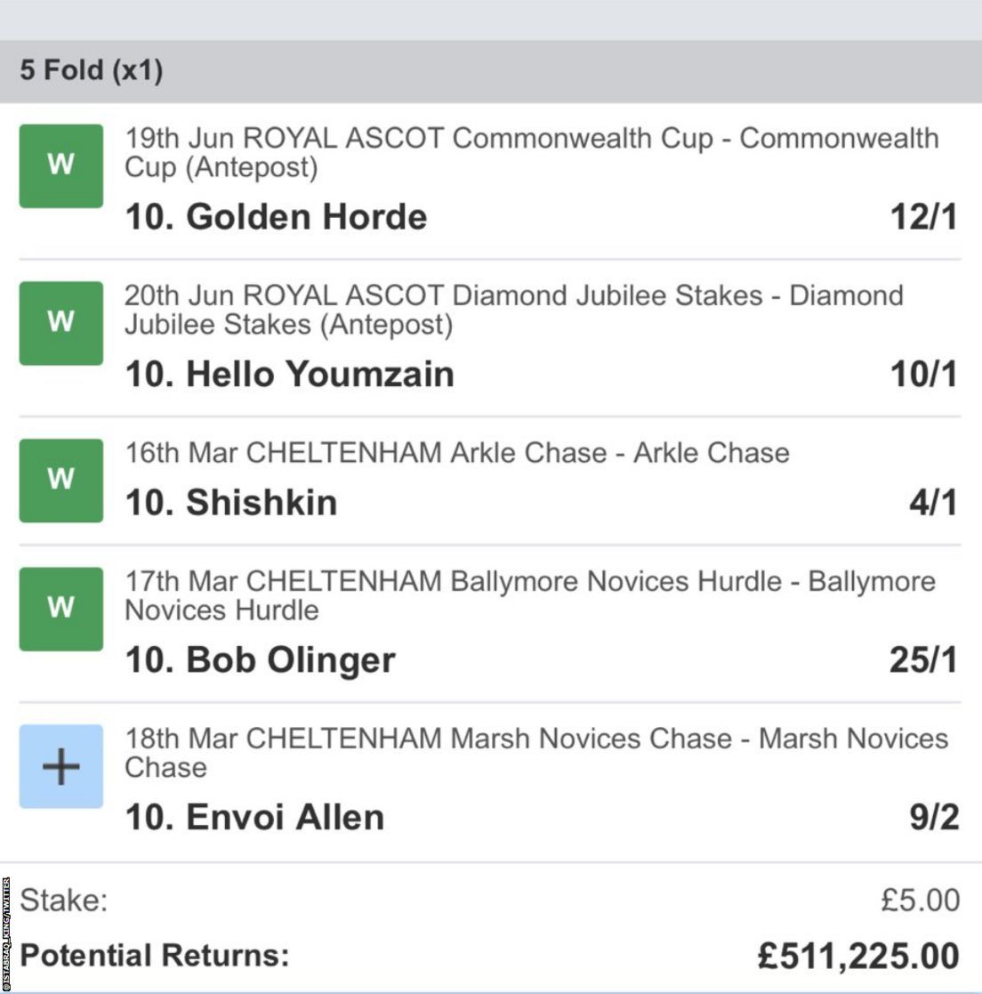 A bet slip showing a bet with Golden Horde, Hello Youmzain, Shishkin, Bob Olinger and Envoi Allen