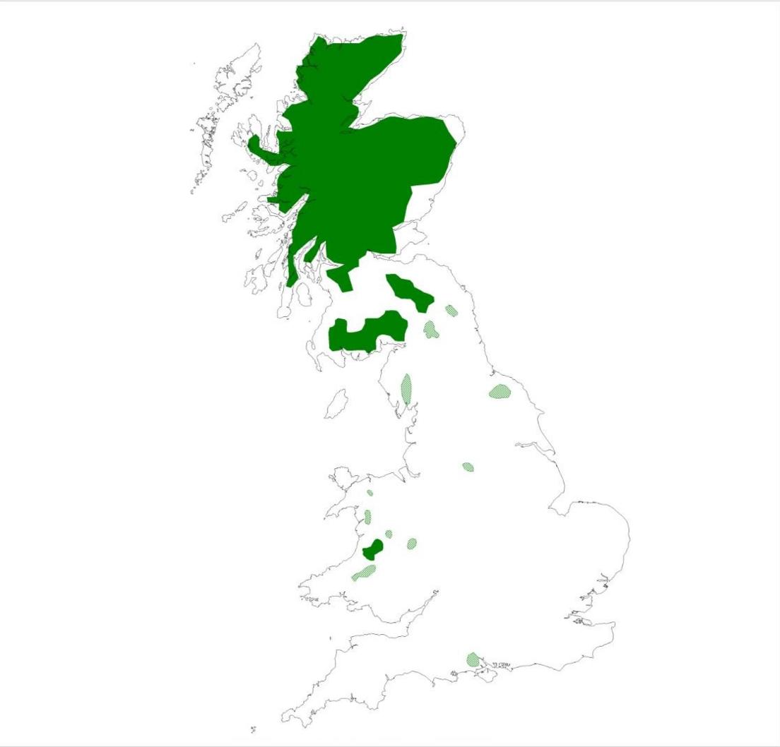 Pine marten populations