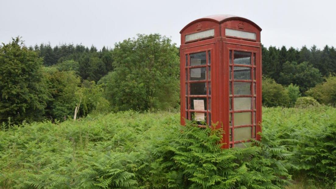 An old red telephone box in the middle of a field of ferns. The greenery has become overgrown and is reaching half way up the phone box to the handle. The Perspex panes are clouded and mouldy. The red paint is chipped and the panel at the top which reads 'Telephone' is barely legible. 