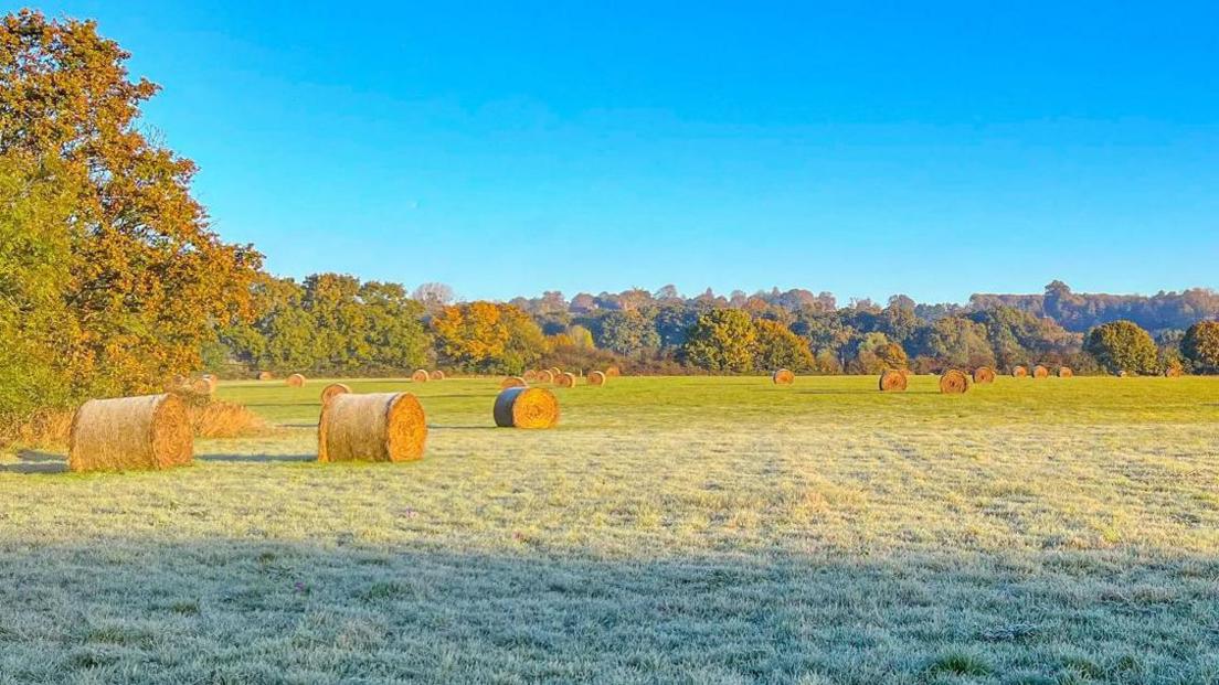 Hay bales in a frosty field in Linton in Kent 