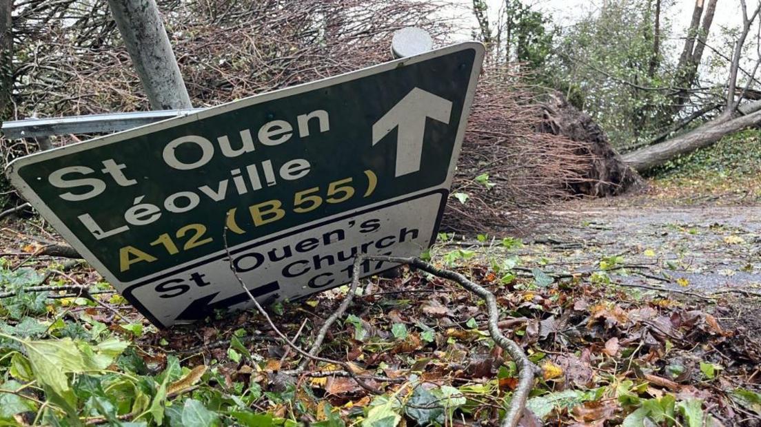 A road sign in Jersey has fallen down as well as a large tree in the background.