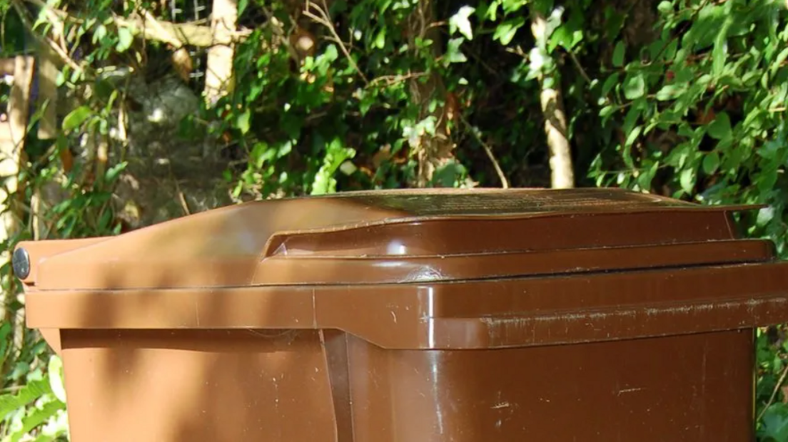 Brown bin