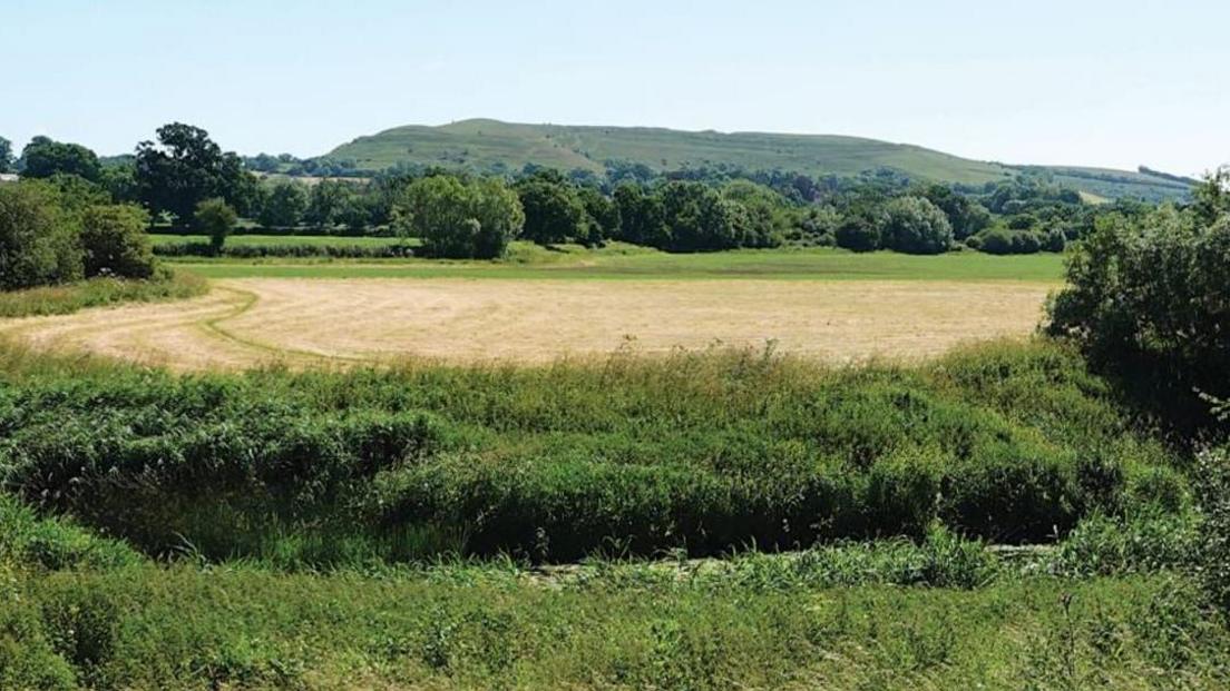 A field, surrounded by green shrubbery, and trees. Green hills are in the background.