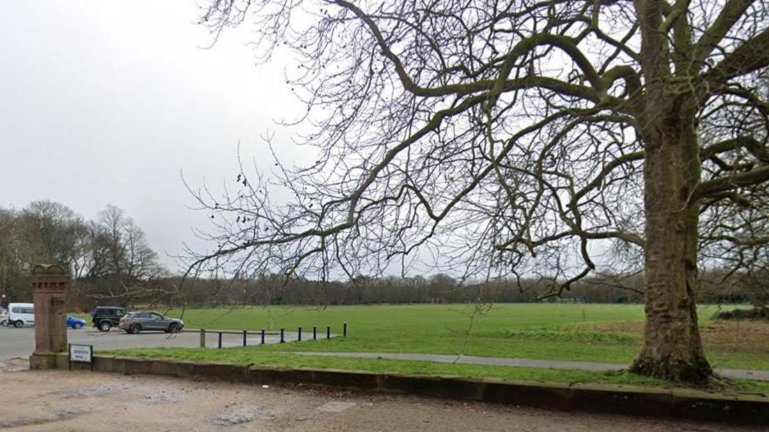 A view of a large grassed area of Sefton Park next to a car park, with a large tree in the foreground and a line of trees in the distance. There is a car park to the left of the shot, on which several cars are parked.