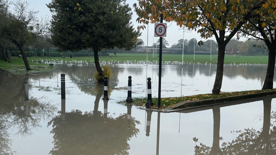 A flooded park on a cloudy day. There is a large area of flood-water in the foreground and a rugby pitch in the background. Black and white bollards can be seen sticking up out of the water.